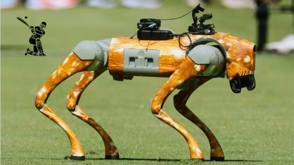 AI in IPL 2025